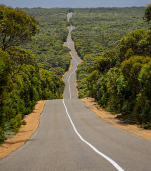 Highway 1 Of Australia Wallpaper