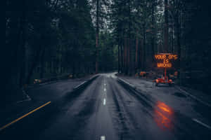 Highway Surrounded By Tall Trees Wallpaper