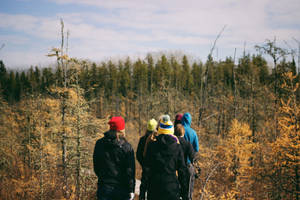 Hikers In Forest Best Autumn Wallpaper