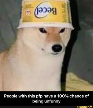 Hilarious Canine Antics Wallpaper