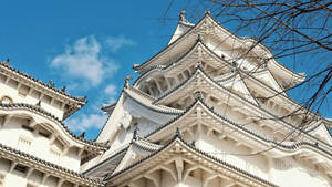 Himeji Castle Ground View Wallpaper