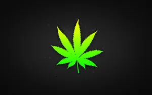 Hippy Habits Wallpaper