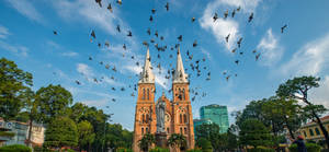 Ho Chi Minh City Flying Birds Wallpaper
