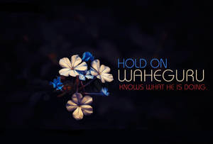 Hold On Waheguru Quote Flower Wallpaper