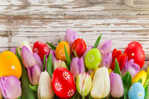 Holiday Easter Eggs And Tulips Wallpaper