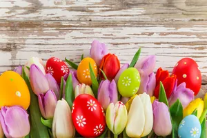 Holiday Easter Eggs And Tulips Wallpaper