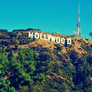 Hollywood Sign Aesthetic Square Wallpaper