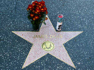 Hollywood Walk Of Fame James Dean Wallpaper