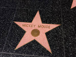 Hollywood Walk Of Fame Mickey Mouse Wallpaper