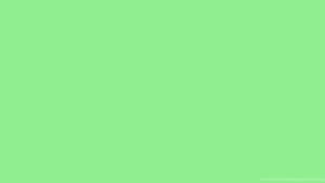 Homely Light Green Plain Wallpaper