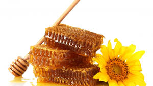 Honey Food Photography Wallpaper