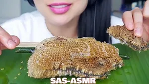 Honeycomb Asmr Wallpaper
