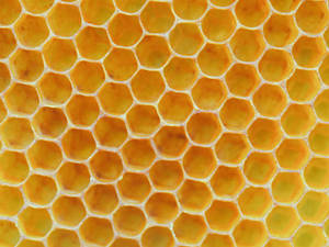 Honeycomb Bright Yellow Wallpaper