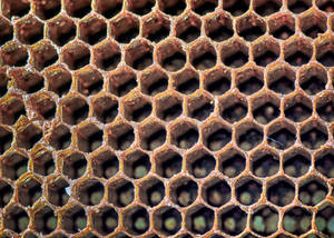 Honeycomb Empty And Flat Wallpaper