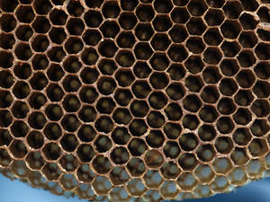 Honeycomb Hollowed Inside Wallpaper