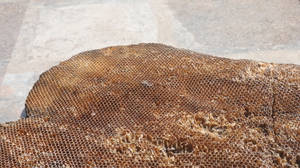 Honeycomb Large Chunk Wallpaper