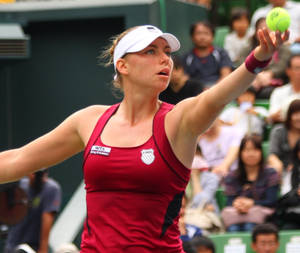 Honored Master Of Sports Vera Zvonareva Wallpaper