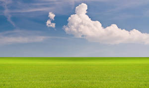 Horizon Green Field Desktop Screensaver Wallpaper