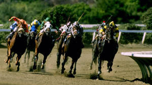 Horse Racing Field Surrounded By Tress Wallpaper