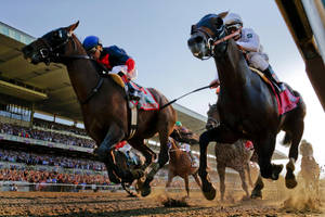Horse Racing In A Clear Sky Wallpaper