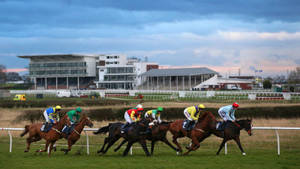 Horse Racing In A Vast Area Wallpaper