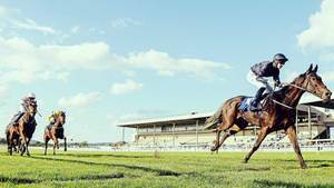 Horse Racing On A Hot Day Wallpaper