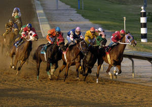 Horse Racing On The Road Side Wallpaper