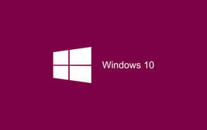 Hot Pink White Windows 10 Logo Wallpaper