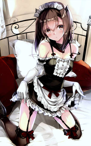 Housemaid Ecchi Girl Wallpaper