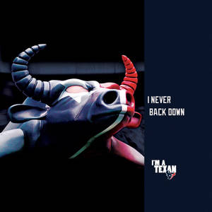 Houston Texans Wallpaper 14 - Wallpaper