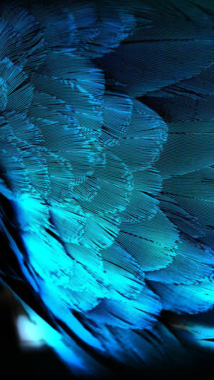 Htc Metallic Blue Feathers Wallpaper
