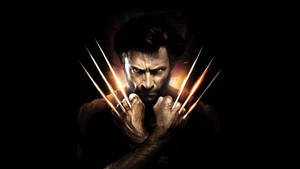 Hugh Jackman As Wolverine Wallpaper