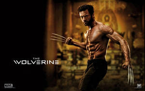 Hugh Jackman The Wolverine Wallpaper