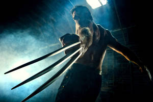 Hugh Jackman Wolverine Back View Wallpaper