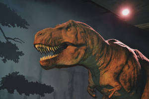 Hulking T-rex Dinosaur Wallpaper