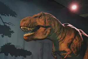 Hulking T-rex Dinosaur Wallpaper
