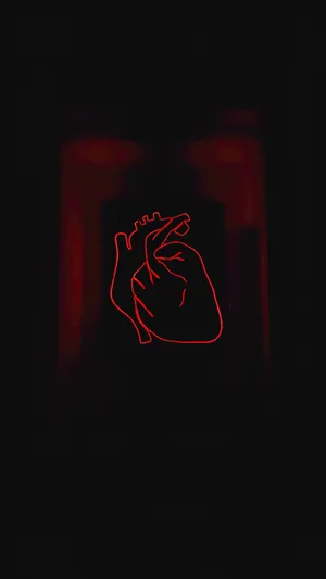 Human Heart Line Art Wallpaper