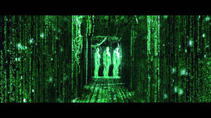 Human Holos In Green Matrix Hallway Wallpaper