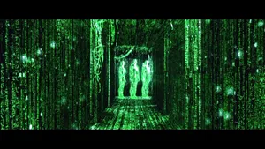 Human Holos In Green Matrix Hallway Wallpaper