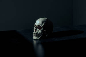 Human Skull In Dark