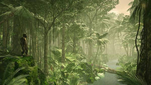 Humankind Game Rainforest Wallpaper