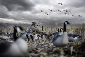 Hunting Wild Geese Wallpaper