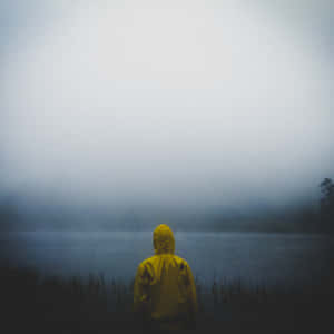 I Am Alone Yellow Jacket Wallpaper