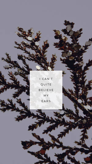 I Can't Quite Believe My Ears Indie Phone Wallpaper