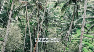I Miss You Signage Wallpaper