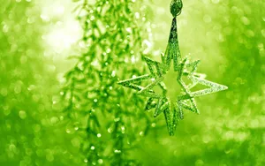 Illuminate Your Home With A Christmas Star Wallpaper