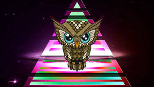 Illuminati Colorful Triangle Owl Wallpaper