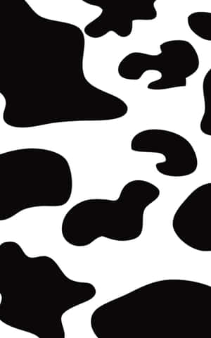 Image A Distinguished Cow Stands Out From His Herd Wallpaper