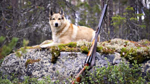 Image A Hunter Prepping For An Outdoor Adventure Wallpaper