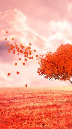 Image A Vibrant Red Tree Illuminated By Warm Light Wallpaper